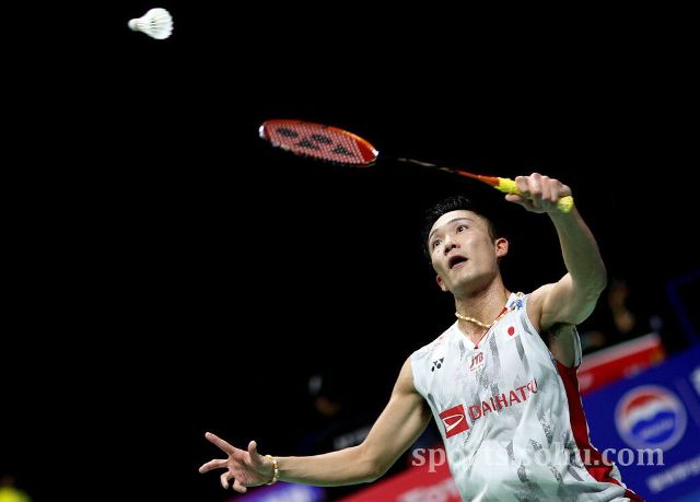 不在于某一 不在于某一